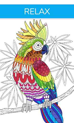 Free Adult Coloring Book App | Animals  2