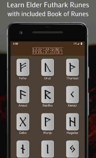 Runic Formulas - Book of Runes, BindRunes, Amulets 2