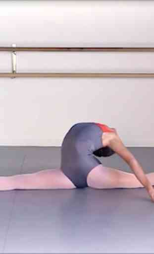 Ballet Elasticity 3