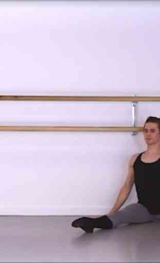 Ballet Elasticity 4