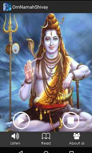 Om Namaha Shivay 2