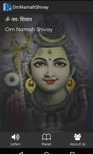 Om Namaha Shivay 3