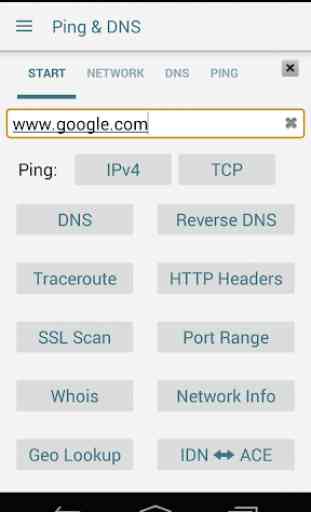 Ping & Net 1