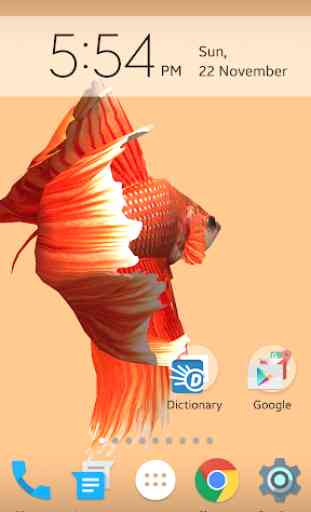 Betta Fish 3D Free 2