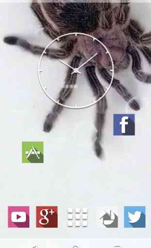 Spider in Phone Live Wallpaper 3