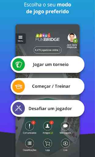 Fun Bridge 4