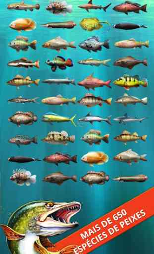 Let's Fish: Jogos de Pesca. Simulador de pesca. 3