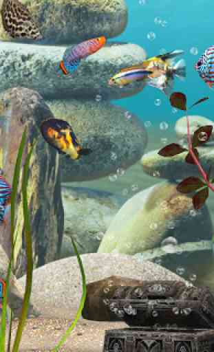 MyLake 3D Aquarium 2