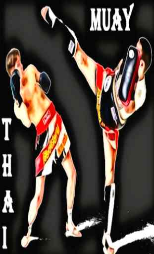 Treinamento Muay Thai 2