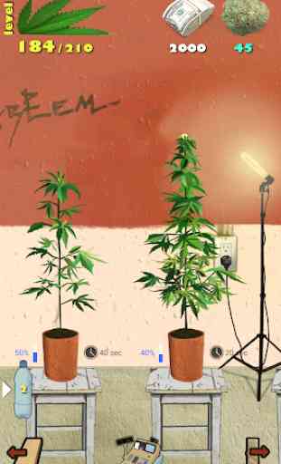 Weed Firm: RePlanted 2