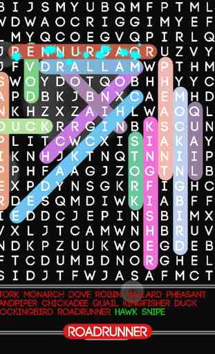 Word Search Puzzle Free 4