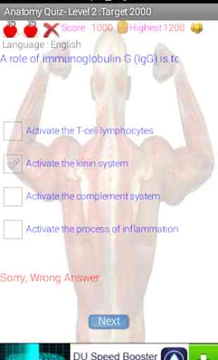 Anatomia Humana Questionário 2