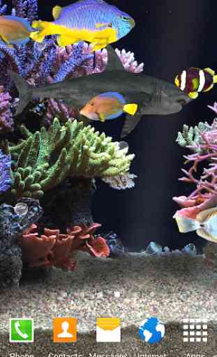 Aquarium Live Wallpaper HD 4