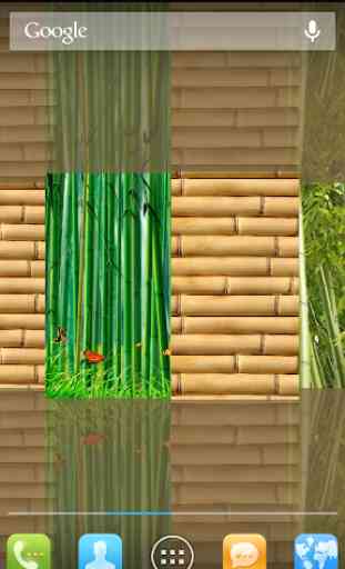 Bamboo ao vivo Wallpapers 2