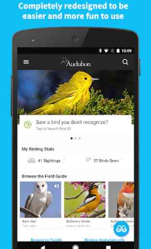 Audubon Bird Guide 1