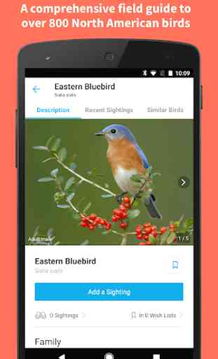 Audubon Bird Guide 2