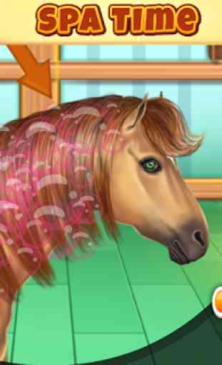 Horse Hair Salon 1