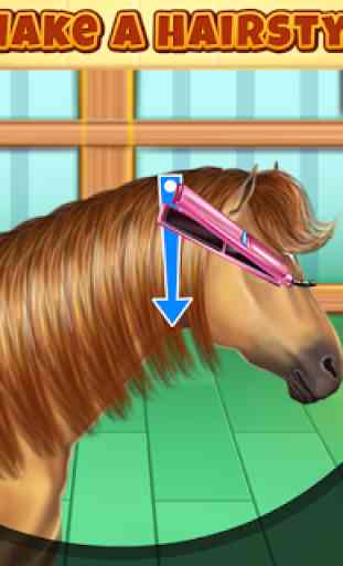 Horse Hair Salon 2