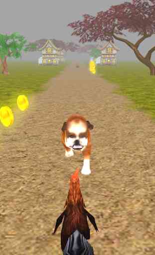 Animal Run - Rooster 3