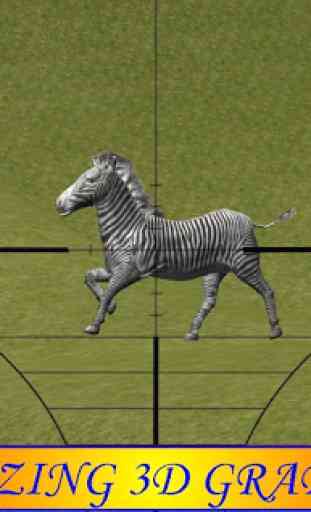 Caçador Zebra 2