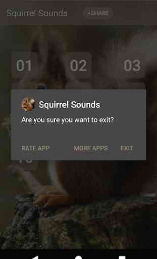 esquilo Sounds 3