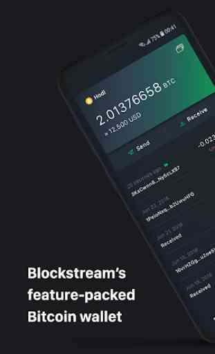 Green: Bitcoin Wallet 1