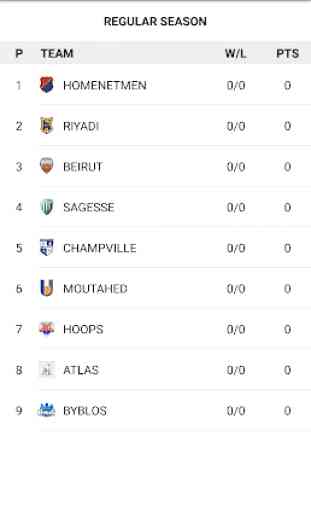 Lebanese Basketball 4