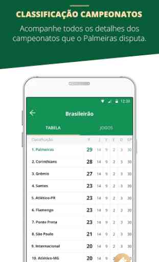 Palmeiras Oficial 3