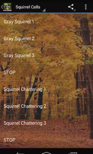 Squirrel Calls 2 2
