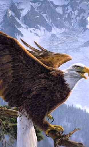 Eagle Bird sim Flight 2