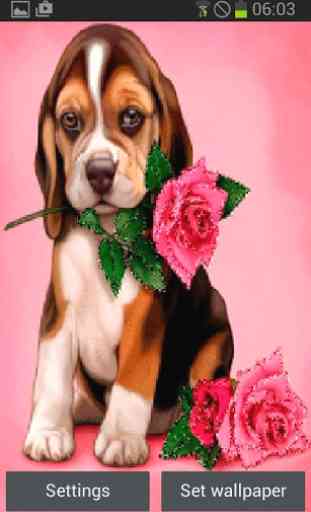 Puppy Rose Live Wallpaper 1