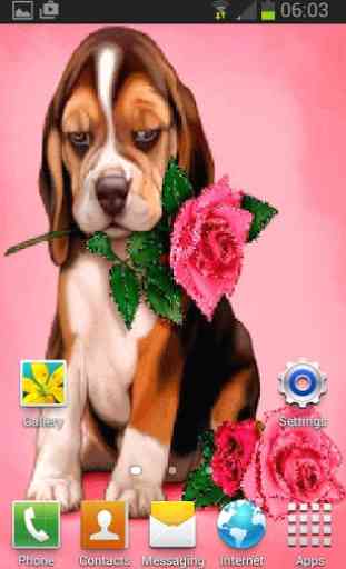 Puppy Rose Live Wallpaper 2