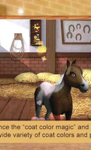 Little Baby Horse 2