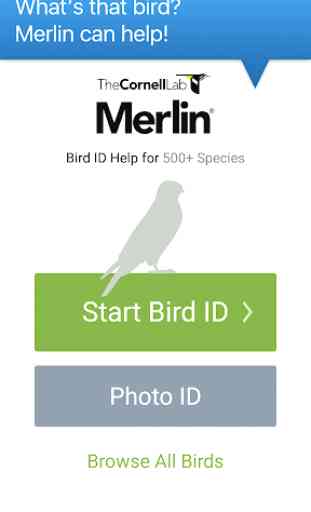 Merlin Bird ID por Cornell Lab of Ornithology 1