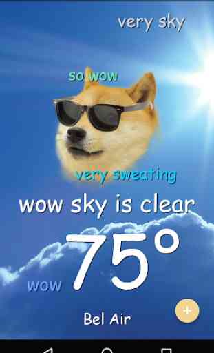Weather Doge 1