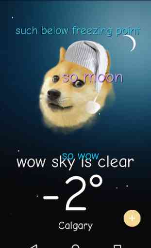 Weather Doge 2