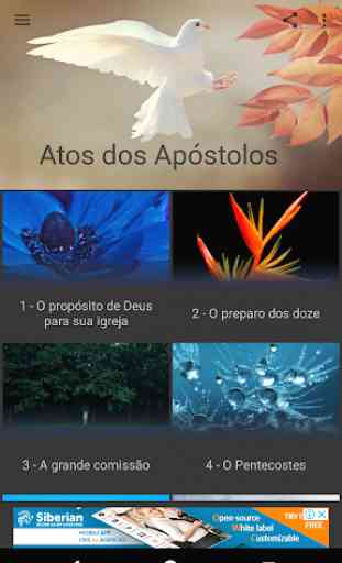 Atos dos Apóstolos 1