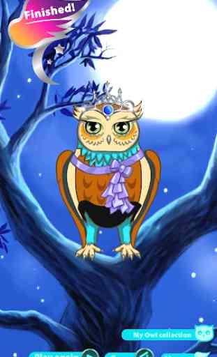 Fancy Owl - Dress Up Game 4