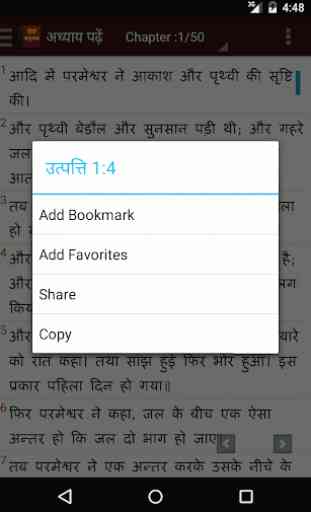 Hindi Bible 4