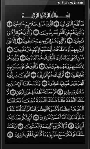Simple Quran 4