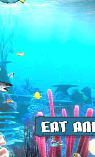 King of the Fish Tank: It's a fish eat fish world 3