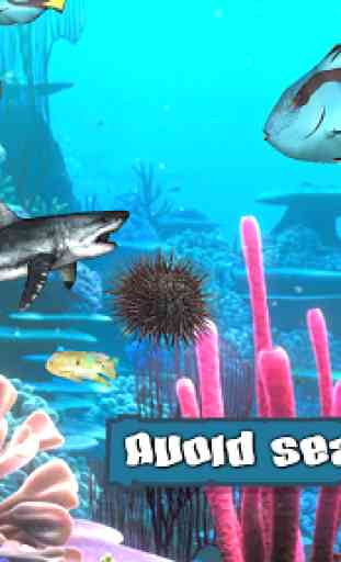 King of the Fish Tank: It's a fish eat fish world 4