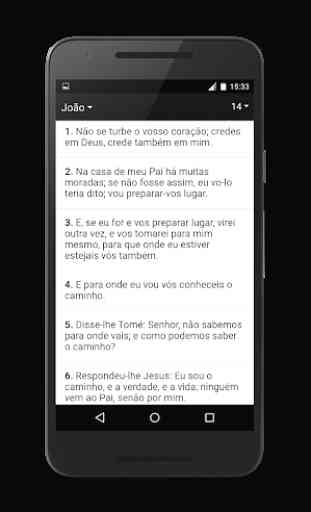 Bíblia Almeida Ferreira 2
