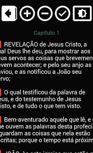 Bíblia Sagrada em Português 2