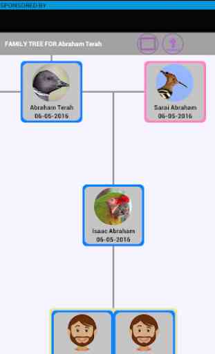 Kiwavi Family Tree 4