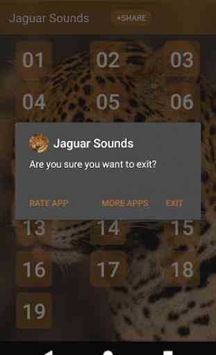 Jaguar (Animal) Sounds 3