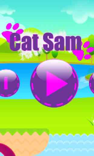 Cat Sam 1