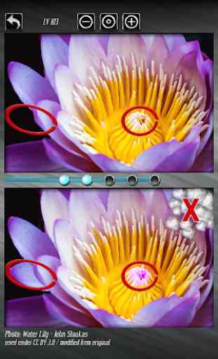 Find Differences (HD) FREE - Fun Relaxing Puzzle 1