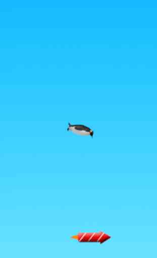 Flying penguin 4