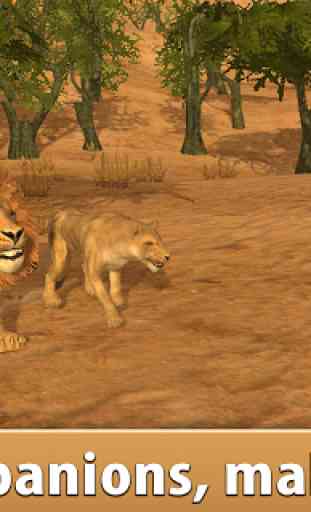Leão africano simulador 3d 3